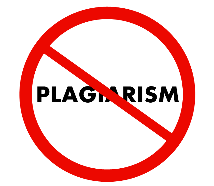 no plagiarism